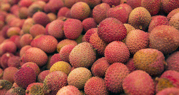 Com oferta concentrada em dezembro, lichia é fruta das festas de fim de ano