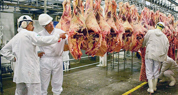 Exportação de carne bovina brasileira fecha 2021 com queda de 7% em volume