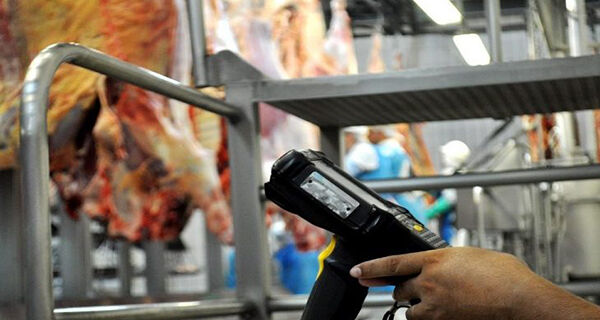 Programa do Estado ajuda Mato Grosso do Sul a produzir a melhor carne do Brasil