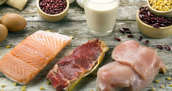 Em 2021, Brasil registrou recorde de produção de proteína animal