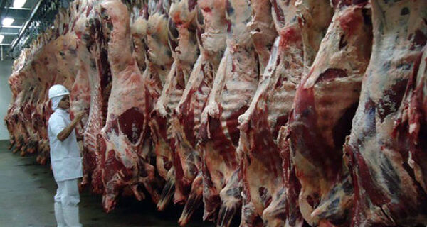 Abate de carne bovina em 2021 é o menor em 17 anos no Brasil