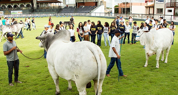 ABCZ anuncia mudanças nos julgamentos da 87ª ExpoZebu, em Uberaba