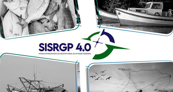 Sistema de recadastramento de pescadores estará em manutenção na próxima semana