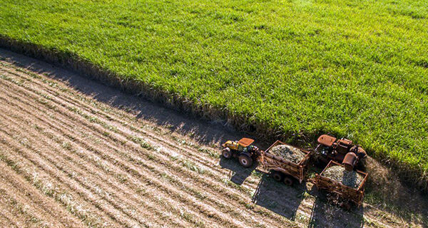 Renagro permitirá registro eletrônico de tratores e máquinas agrícolas
