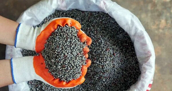 Países árabes querem ampliar exportação de fertilizantes para Brasil