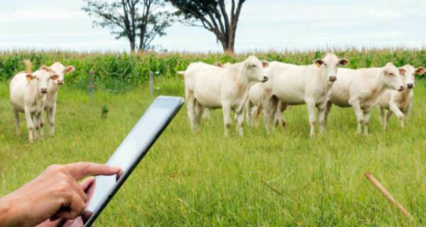 Vivo amplia serviços digitais para o agro com gestão pecuária e drones