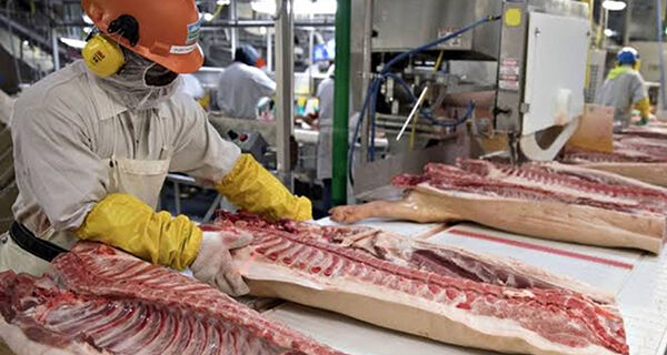 Receita com exportações de carne suína em abril cai 16,7%