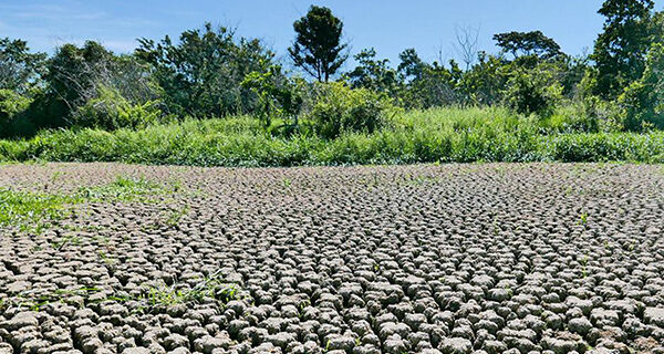 Chuvas ficaram abaixo da média histórica no Pantanal durante o mês de abril