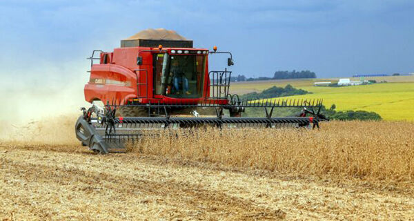 IBGE estima safra recorde de grãos, com 261,5 mi de toneladas