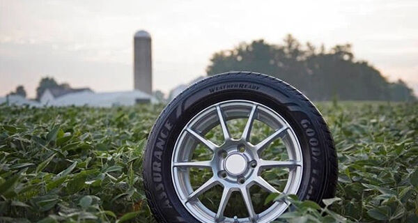 Além de óleo, farelo e grão, Brasil produz até pneu de soja