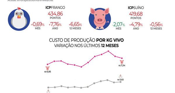 Custos de produção de suínos caem em maio; produzir frango ficou mais caro