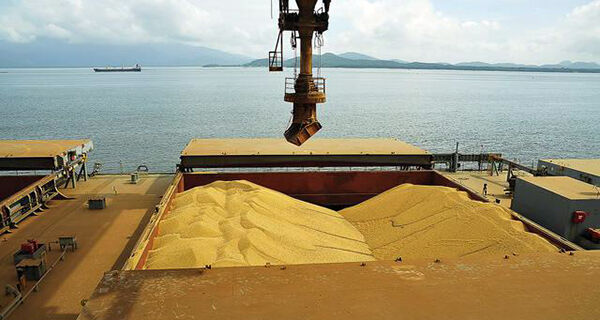 Brasil deve exportar 7,3 milhões de toneladas de soja em julho