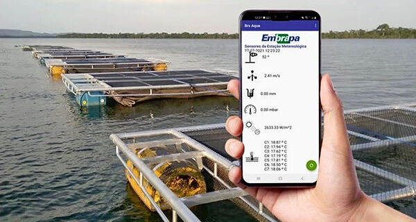Tecnologia transmite dados da piscicultura para o celular em tempo real