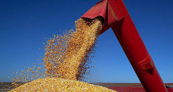 Safrinha de milho leva agronegócio a recorde