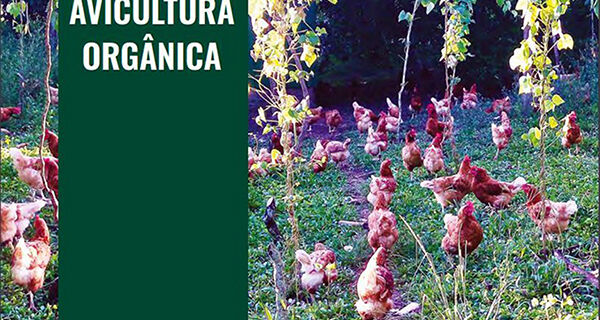 Manual traz orientações sobre avicultura orgânica