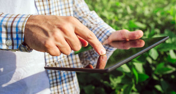 Embrapa oferece serviço de acesso a dados agrometeorológicos para uso em soluções digitais