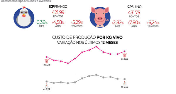 Custos de produção de suínos sobem em julho; ICPFrango volta a cair