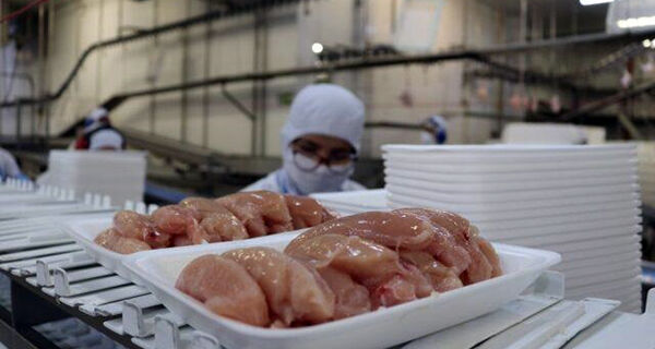 África do Sul suspende tarifa antidumping para frango brasileiro