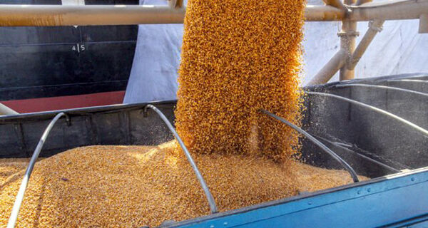 Movimentação de milho nos portos cresce 121% no 1&ordm; semestre