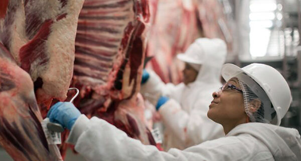 Demanda interna enfraquecida pressiona valor da carne bovina