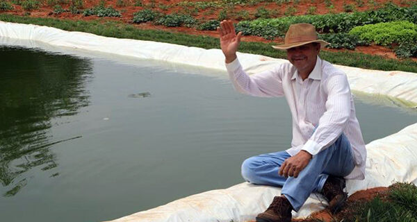 Produtor rural de Sidrolândia investe em produção integrada de peixes e hortaliças