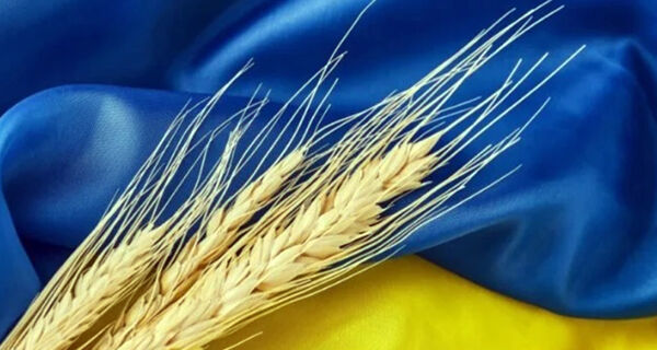 Ucrânia enviou cerca de 5,3 mi de t de produtos agrícolas sob acordo