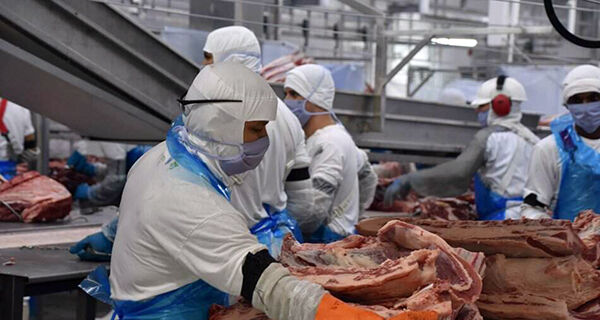 Faturamento de MS com a exportação de carne bovina cresceu 28% em 2022