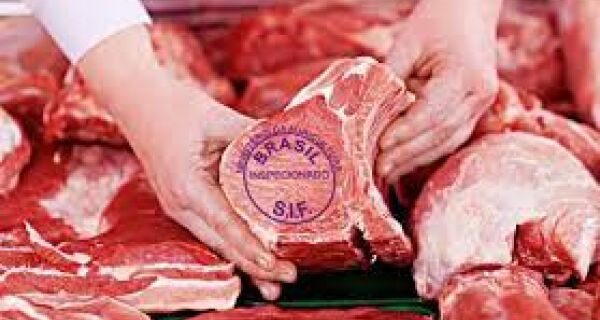 Queda da arroba bovina e salto na exportação elevam margens de frigoríficos no Brasil