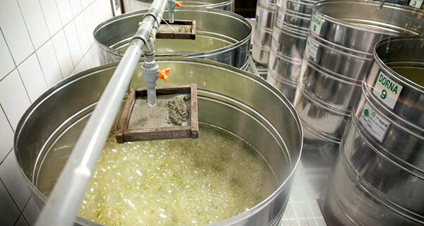 Técnica torna processo de fermentação da cana mais eficiente