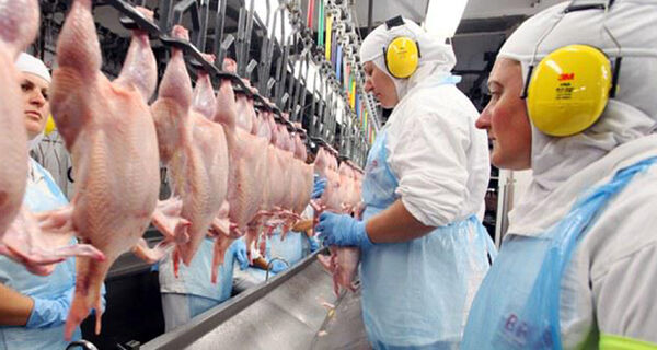 Exportações de frango do Brasil devem aumentar 11% em 2022, diz USDA
