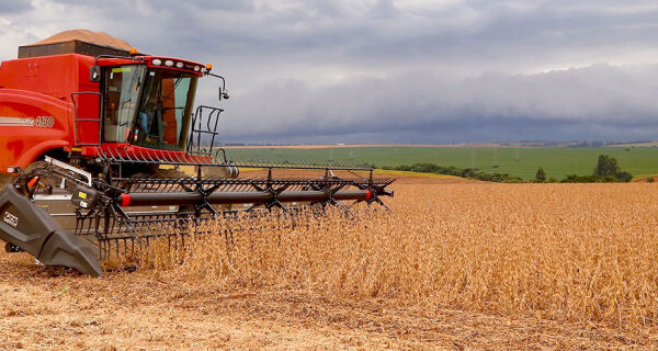 Safra de grãos é estimada em 313 milhões de toneladas impulsionada pela soja