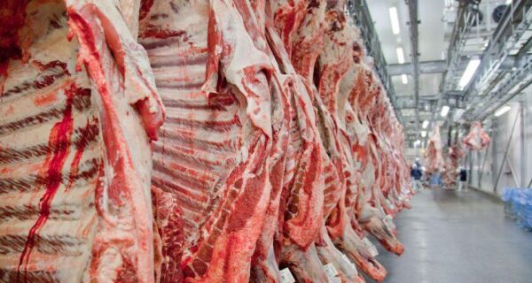 Exportações de carne bovina in natura têm aumento na média diária e no volume na parcial de dezembro
