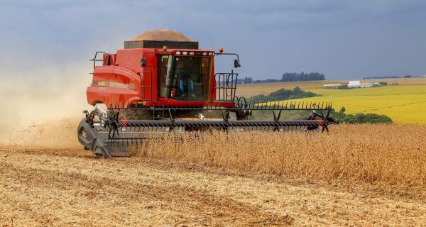 Safras de soja 21/22 e 22/23 têm preço médio de venda de R$ 168,34 e 176,03/saca