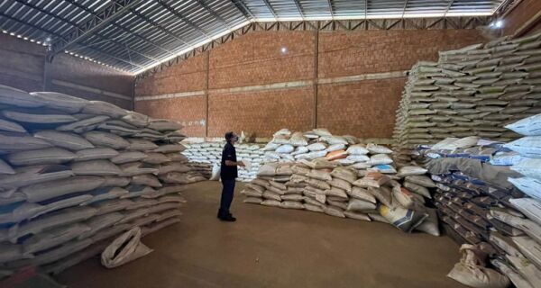 Mais de 96 toneladas de sementes tiveram a comercialização suspensa nem Mato Grosso do Sul