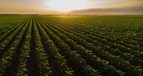 Agro: o vetor da recuperação brasileira