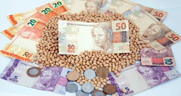 Preço da saca estabiliza, mesmo com pressões de Chicago e dólar