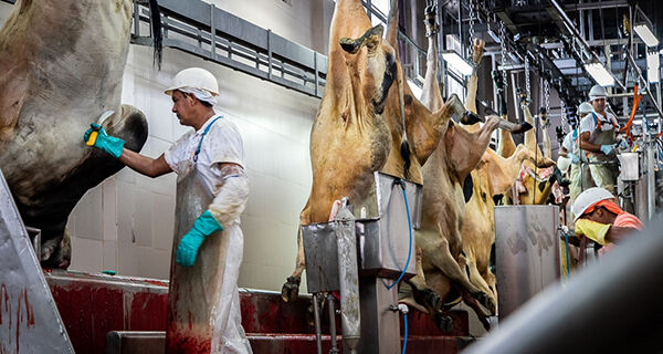 Brasil tem 50 frigoríficos aptos a exportar para China e quer aval para habilitar novos
