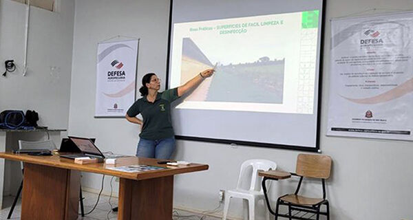 São Paulo intensifica ações para prevenir gripe aviária em granjas