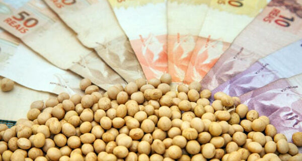 Mercado trava antes de relatório do USDA sobre a safra