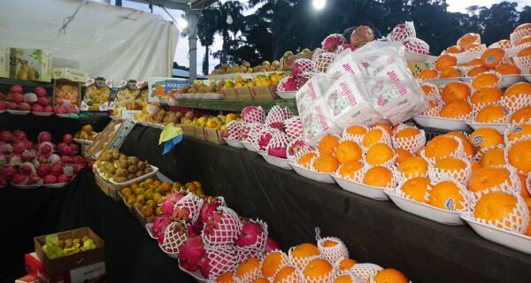 Expogrande 2023 oferece para o público frutaria, estande de queijos, vinhos e iguarias 