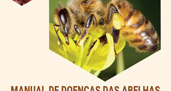 Mapa lança manual inédito sobre doença das abelhas