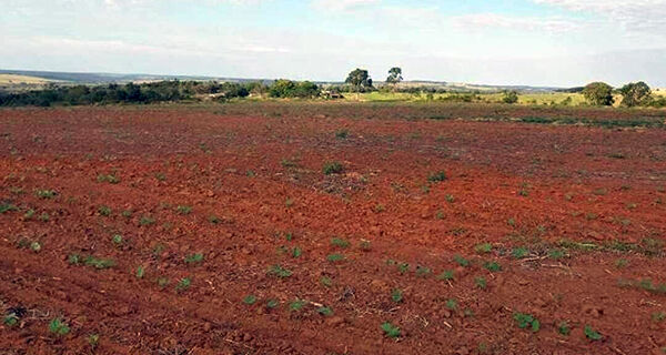 Agricultores de MS pedem recuperação judicial por dívidas de R$ 58 milhões