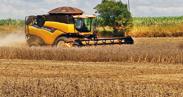 Com safra recorde, MS é o 5&ordm; maior produtor de grãos do Brasil