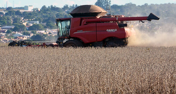 Área de cultivo de soja dobra em uma década em Mato Grosso do Sul