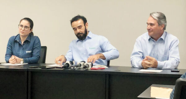 Safra 2023/2024: queda no preço da soja tira rentabilidade e eleva custo por saca em 20% no Estado