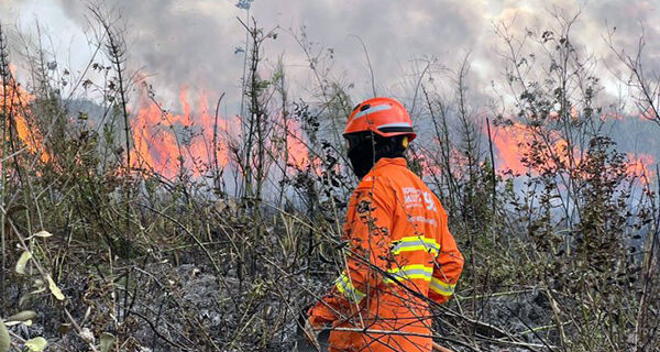 Corpo de Bombeiros atua no controle de incêndio florestal em Bonito