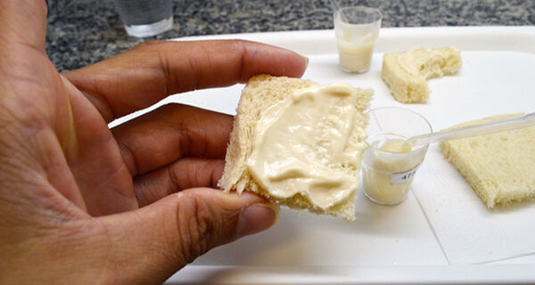 Estudo comprova boa aceitação de análogo de queijo do coco-babaçu