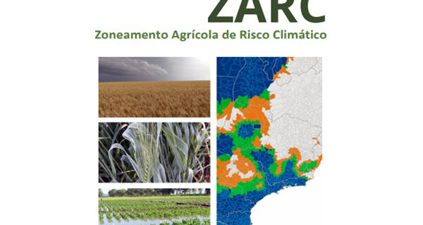 Hortaliças ganham espaço entre culturas incluídas no Zoneamento Agrícola de Risco Climático