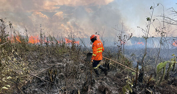 Bombeiros atuam no controle e extinção de incêndio florestal no Pantanal do Paiaguás