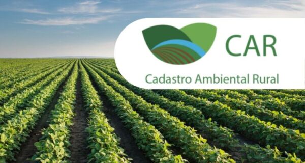 MS lidera análise dinamizada do CAR com 20% dos processos concluídos e 65% aguardando aceite dos pro